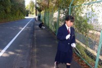 通学路の清掃活動を行いました（福祉委員）